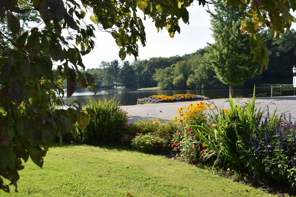 summer 2019 002 (1024x683).jpg